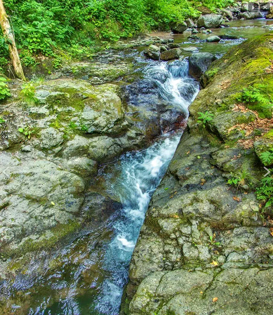 Stâna de Vale Cazare | Pensiune turistică (K0828-45) Imaginea poate fi supusă drepturilor de autor. Se recomandă contactarea titularului drepturilor.