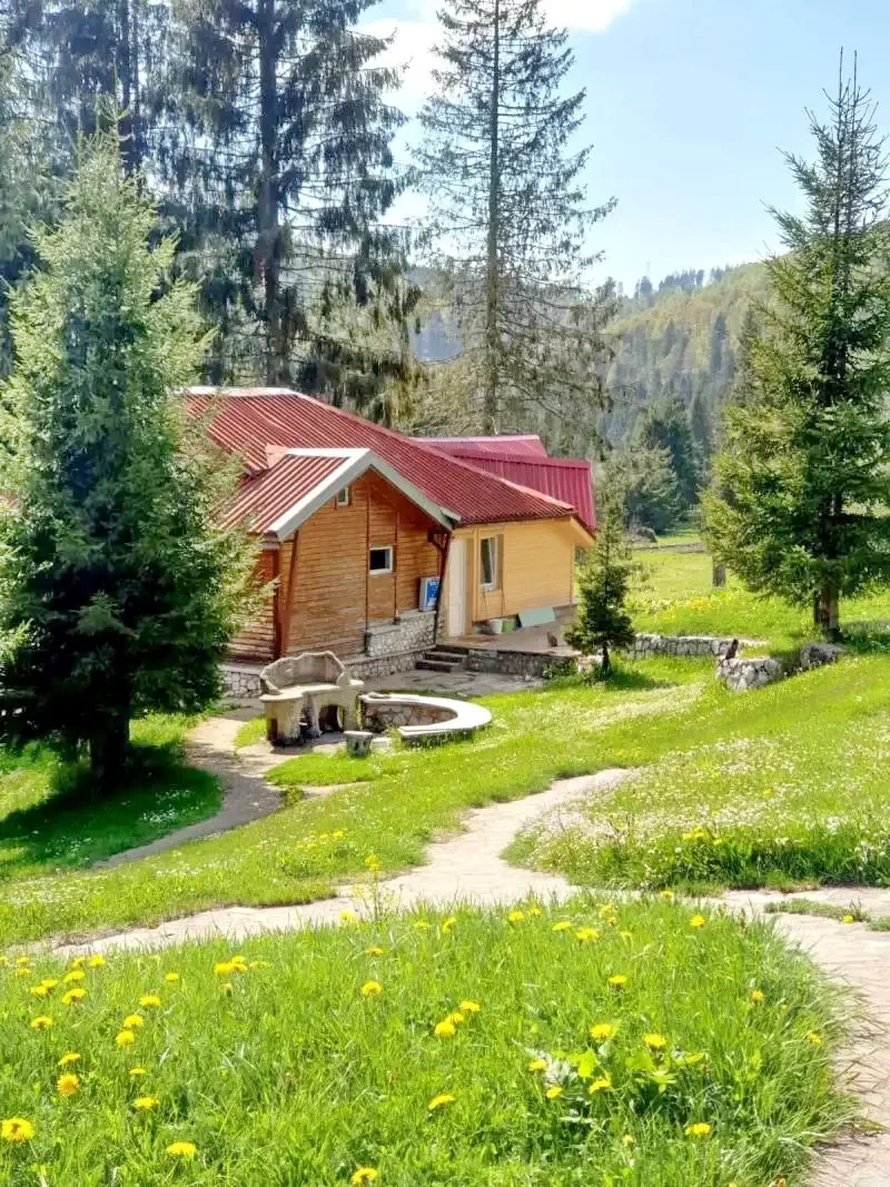 Szállás Stâna de Vale - Vila Izvorul Minunilor*** | Biharfüred - Izvorul Minunilor Villa***. A kép szerzői jogvédelem alatt állhat. Javasolt a kapcsolatfelvétel a jog tulajdonossal.