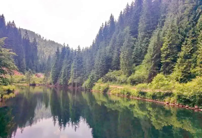 Stâna de Vale Cazare | Camping / Popas turistic (K0829-16) Imaginea poate fi supusă drepturilor de autor. Se recomandă contactarea titularului drepturilor.