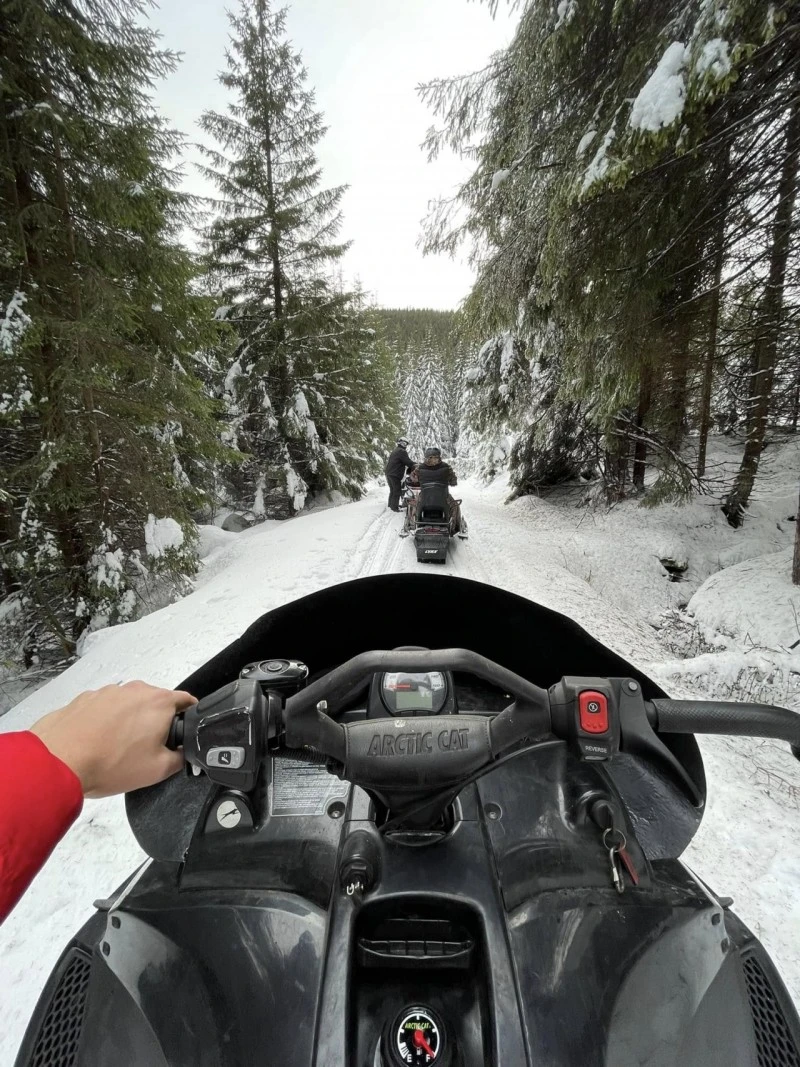 Căpâlnița Cazare | Pensiune (K1240-64) Imaginea poate fi supusă drepturilor de autor. Se recomandă contactarea titularului drepturilor.