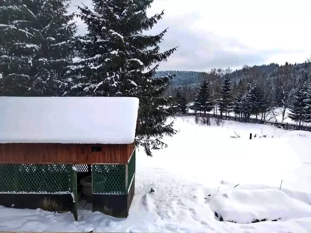 Comandău Cazare | Motel (K1377-38) Imaginea poate fi supusă drepturilor de autor. Se recomandă contactarea titularului drepturilor.