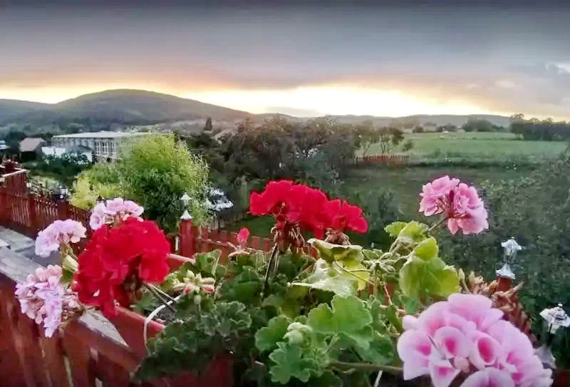 Csernáton Szállás | Motel (K0129-16) A kép szerzői jogvédelem alatt állhat. Javasolt a kapcsolatfelvétel a jog tulajdonossal.