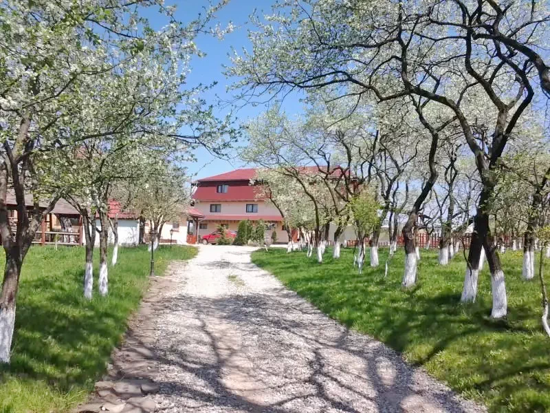 Csernáton Szállás | Motel (K0129-26) A kép szerzői jogvédelem alatt állhat. Javasolt a kapcsolatfelvétel a jog tulajdonossal.