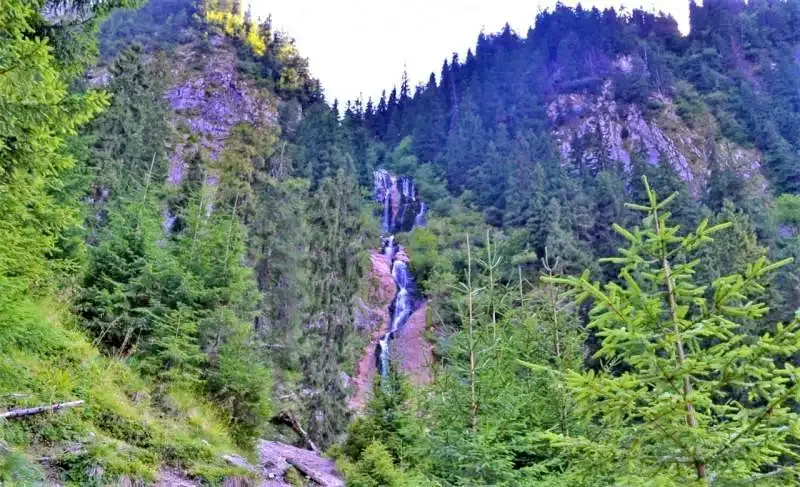 Borșa Cazare | Pensiune turistică (K0985-21) Imaginea poate fi supusă drepturilor de autor. Se recomandă contactarea titularului drepturilor.