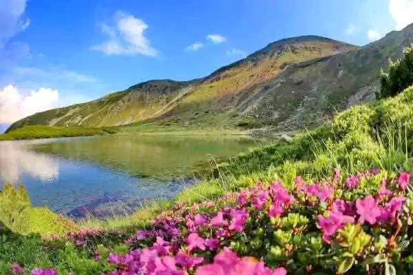 Borșa Cazare | Pensiune turistică (K0985-29) Imaginea poate fi supusă drepturilor de autor. Se recomandă contactarea titularului drepturilor.