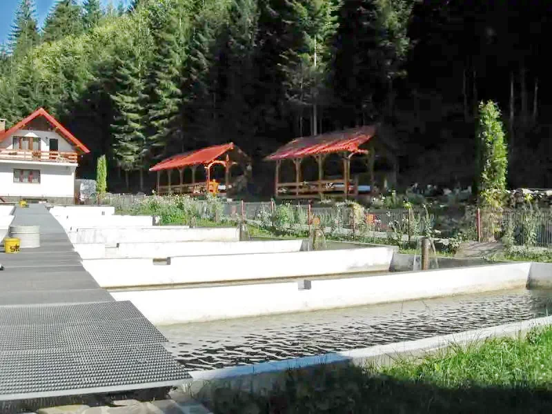 Borșa Cazare | Pensiune turistică (K0984-23) Imaginea poate fi supusă drepturilor de autor. Se recomandă contactarea titularului drepturilor.