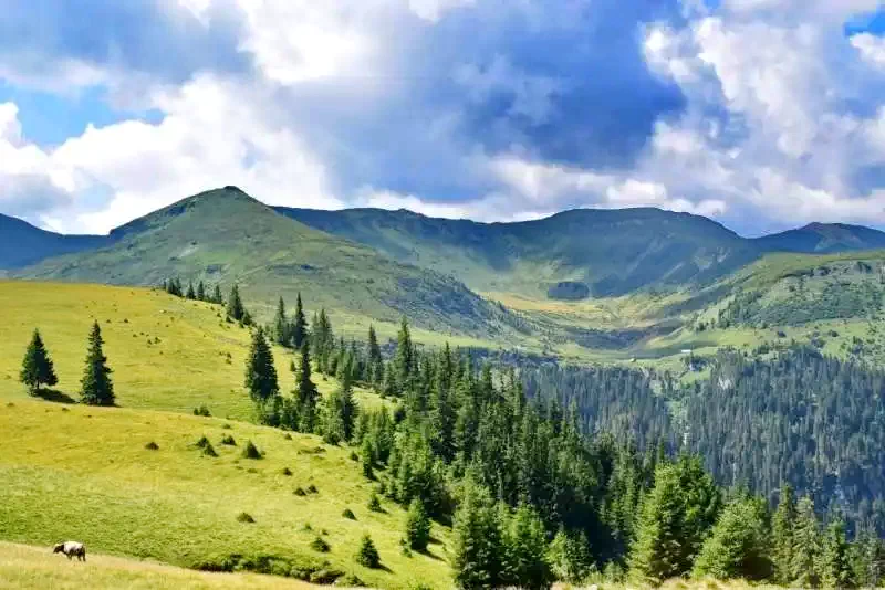 Borșa Cazare | Motel (K0713-1) Imaginea poate fi supusă drepturilor de autor. Se recomandă contactarea titularului drepturilor.