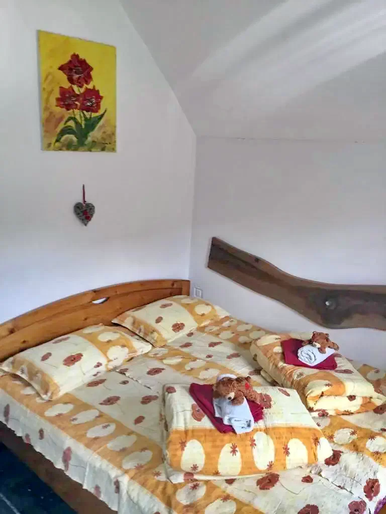 Borșa Cazare | Motel (K0713-10) Imaginea poate fi supusă drepturilor de autor. Se recomandă contactarea titularului drepturilor.