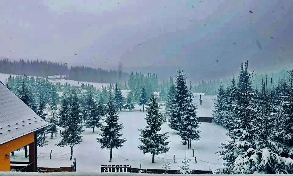 Pasul Bucin Cazare | Pensiune (K0137-11) Imaginea poate fi supusă drepturilor de autor. Se recomandă contactarea titularului drepturilor.