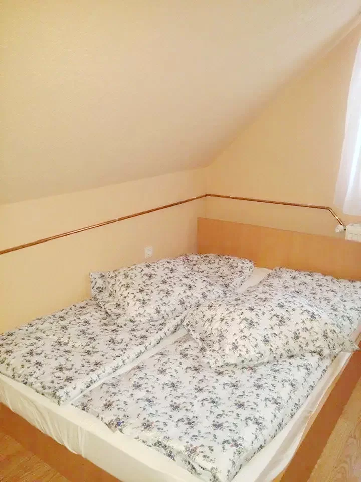 Pasul Bucin Cazare | Pensiune (K0137-16) Imaginea poate fi supusă drepturilor de autor. Se recomandă contactarea titularului drepturilor.