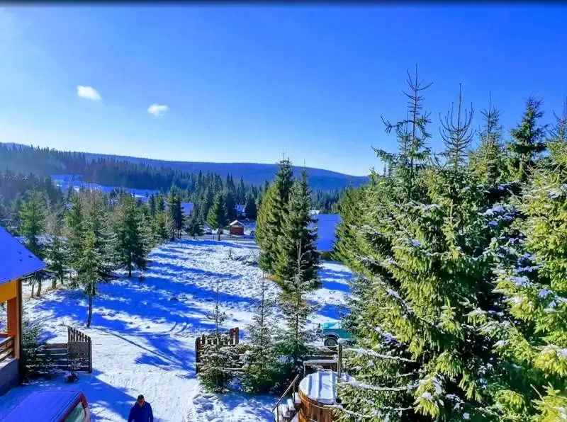 Pasul Bucin Cazare | Motel (K0137-35) Imaginea poate fi supusă drepturilor de autor. Se recomandă contactarea titularului drepturilor.