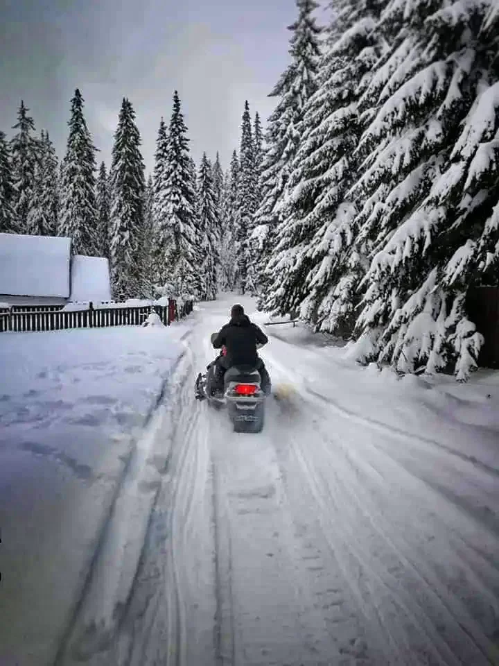 Pasul Bucin Cazare | Pensiune (K0137-37) Imaginea poate fi supusă drepturilor de autor. Se recomandă contactarea titularului drepturilor.