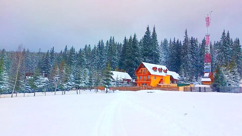 Pasul Bucin Cazare | Motel (K0137-39) Imaginea poate fi supusă drepturilor de autor. Se recomandă contactarea titularului drepturilor.