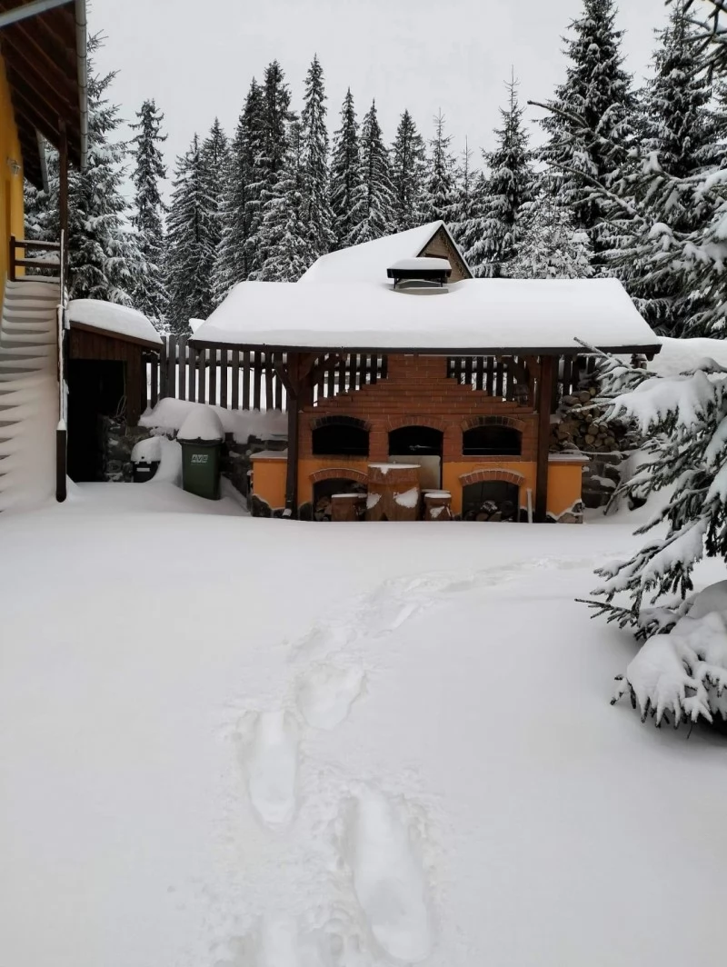 Pasul Bucin Cazare | Motel (K0137-41) Imaginea poate fi supusă drepturilor de autor. Se recomandă contactarea titularului drepturilor.