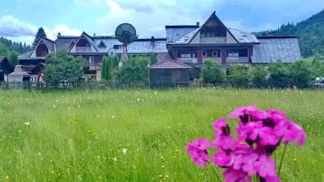 Csalhó Szállás | Motel (K0493-12) A kép szerzői jogvédelem alatt állhat. Javasolt a kapcsolatfelvétel a jog tulajdonossal.