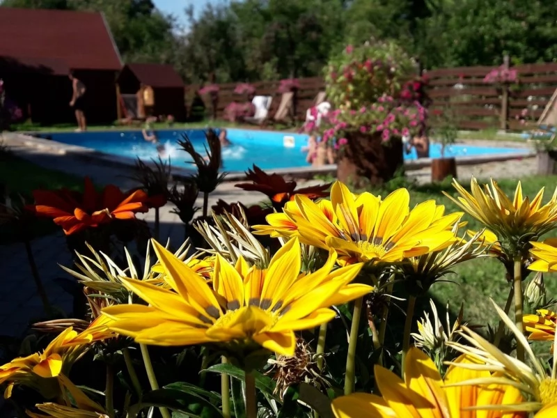 Covasna Cazare | Motel (K1443-1) Imaginea poate fi supusă drepturilor de autor. Se recomandă contactarea titularului drepturilor.