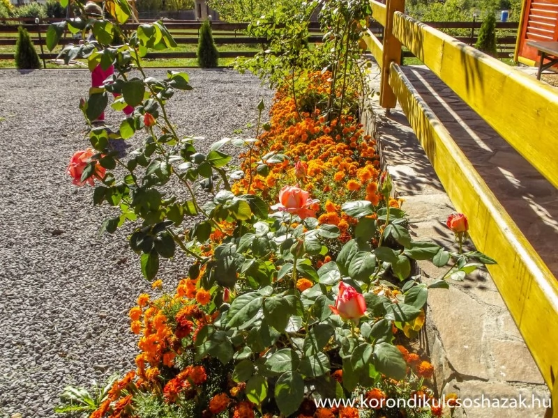 Corund Cazare | Cabană (K0277-44) Imaginea poate fi supusă drepturilor de autor. Se recomandă contactarea titularului drepturilor. Corund Cazare | Cabană (K0277-44) Imaginea poate fi supusă drepturilor de autor. Se recomandă contactarea titularului drepturilor.