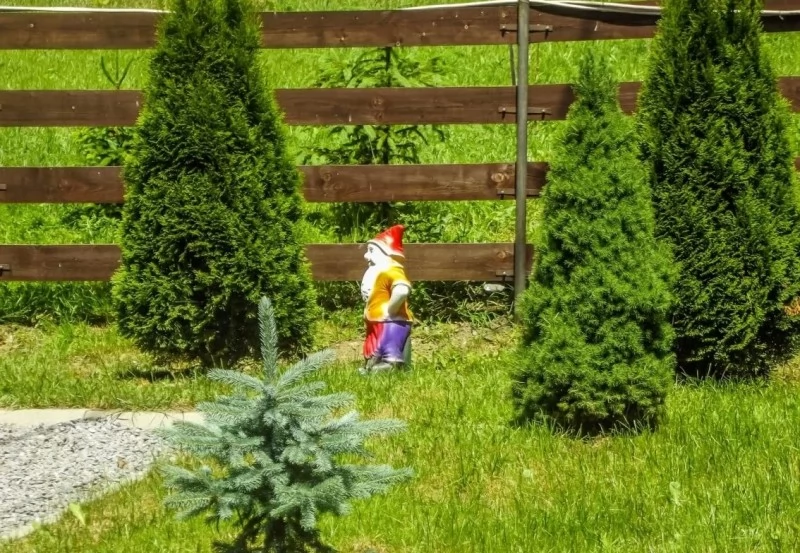 Korond Szállás | Üdülőfalu (K0277-46) A kép szerzői jogvédelem alatt állhat. Javasolt a kapcsolatfelvétel a jog tulajdonossal.