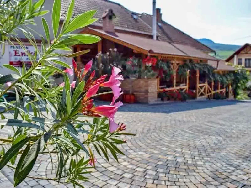 Corund Cazare | Motel (K0332-1) Imaginea poate fi supusă drepturilor de autor. Se recomandă contactarea titularului drepturilor.