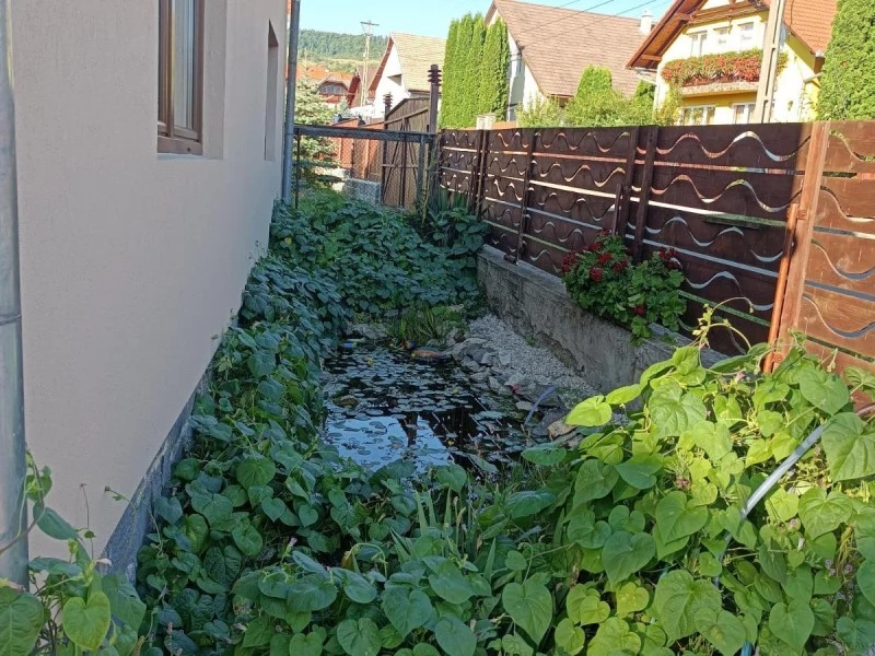 Korond Szállás | Motel (K0335-45) A kép szerzői jogvédelem alatt állhat. Javasolt a kapcsolatfelvétel a jog tulajdonossal.