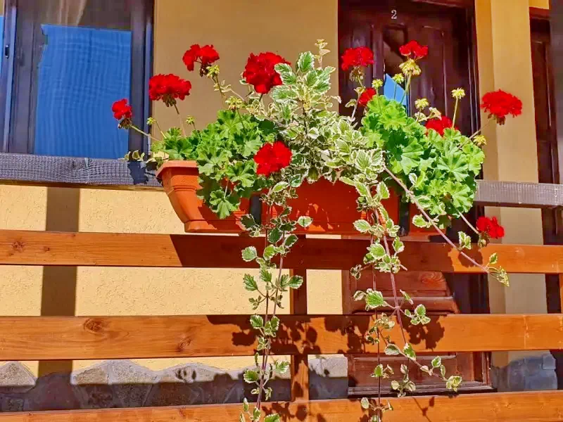 Corund Cazare | Cabană (K0412-39) Imaginea poate fi supusă drepturilor de autor. Se recomandă contactarea titularului drepturilor.