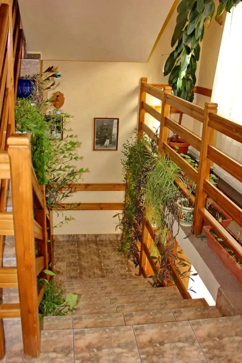 Korond Szállás | Motel (K1079-16) A kép szerzői jogvédelem alatt állhat. Javasolt a kapcsolatfelvétel a jog tulajdonossal.