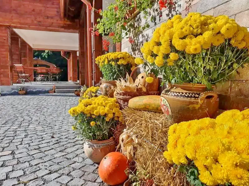 Corund Cazare | Pensiune (K1195-13) Imaginea poate fi supusă drepturilor de autor. Se recomandă contactarea titularului drepturilor. Corund Cazare | Pensiune (K1195-13) Imaginea poate fi supusă drepturilor de autor. Se recomandă contactarea titularului drepturilor.