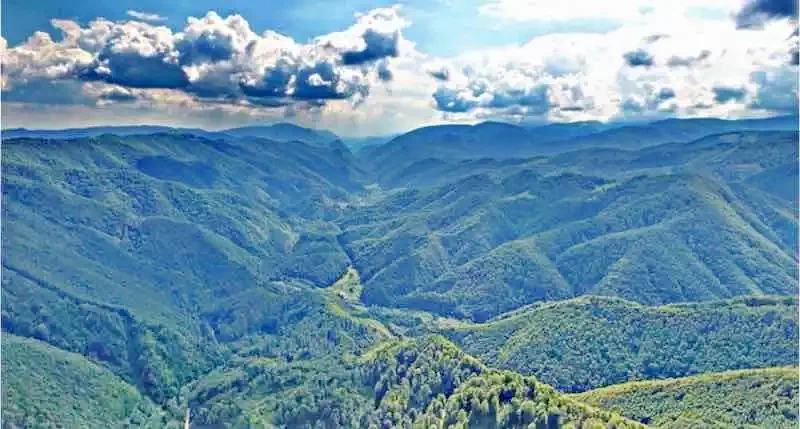 Cazare Băile Herculane - Pensiunea Paradis*** | Herkulesfürdő - Paradis Panzió***. Imaginea poate fi supusă drepturilor de autor. Se recomandă contactarea titularului drepturilor.