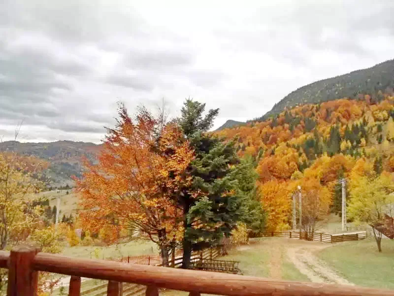 Gyilkostó Szállás | Kemping / turistapihenő (K0242-51) A kép szerzői jogvédelem alatt állhat. Javasolt a kapcsolatfelvétel a jog tulajdonossal.