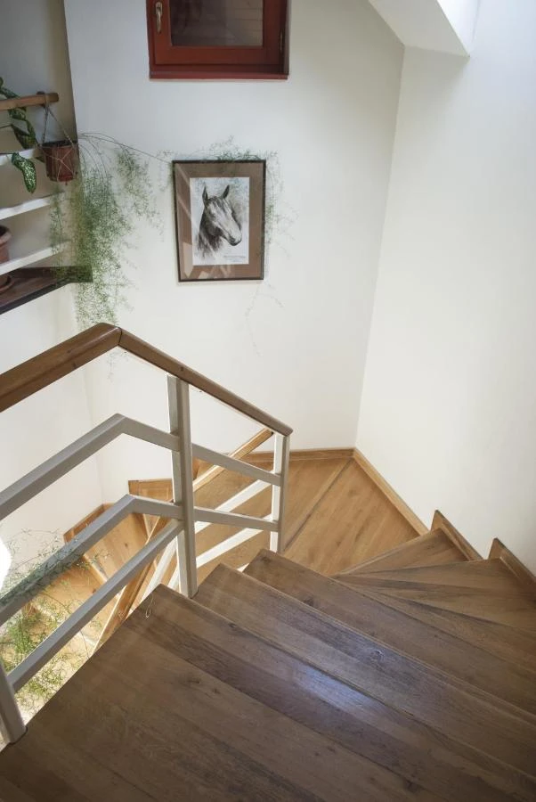 Harghita-Băi Cazare | Motel (K0292-8) Imaginea poate fi supusă drepturilor de autor. Se recomandă contactarea titularului drepturilor.