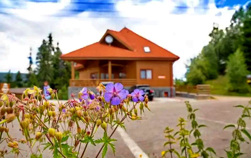 Hargitafürdő Szállás | Motel (K0292-37) A kép szerzői jogvédelem alatt állhat. Javasolt a kapcsolatfelvétel a jog tulajdonossal.