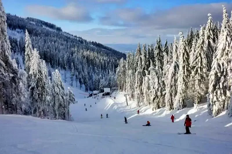 Hargitafürdő Szállás | Motel (K1238-38) A kép szerzői jogvédelem alatt állhat. Javasolt a kapcsolatfelvétel a jog tulajdonossal.