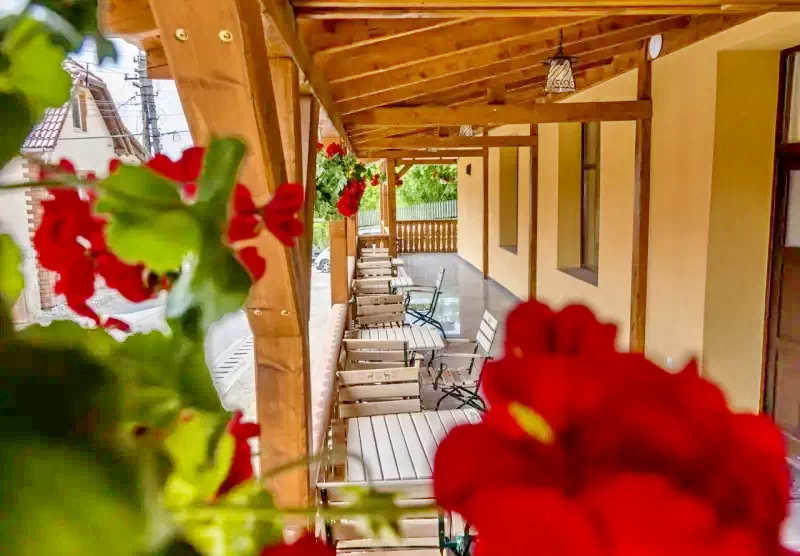 Dealu Cazare | Motel (K1412-5) Imaginea poate fi supusă drepturilor de autor. Se recomandă contactarea titularului drepturilor.