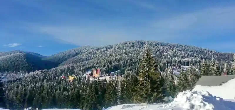 Vârtop Cazare | Motel (K0256-15) Imaginea poate fi supusă drepturilor de autor. Se recomandă contactarea titularului drepturilor.