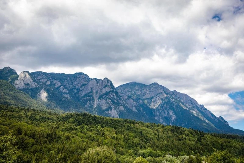 Bușteni Cazare | Aparthotel (K1582-80) Imaginea poate fi supusă drepturilor de autor. Se recomandă contactarea titularului drepturilor.