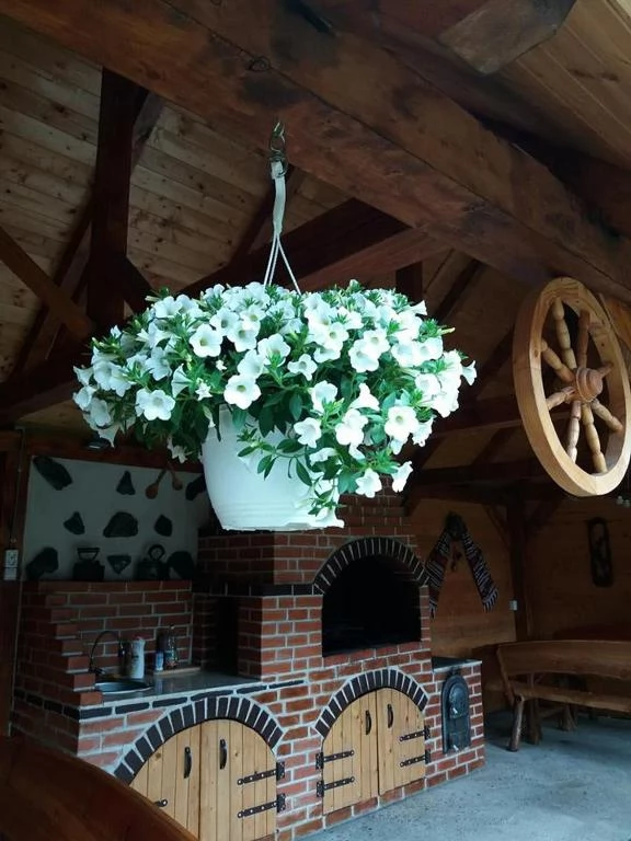 Cârțișoara Cazare | Motel (K1487-37) Imaginea poate fi supusă drepturilor de autor. Se recomandă contactarea titularului drepturilor.