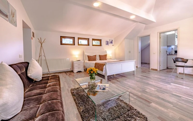 Bușteni Szállás | Hotel‑apartman (K1582-17) A kép szerzői jogvédelem alatt állhat. Javasolt a kapcsolatfelvétel a jog tulajdonossal.