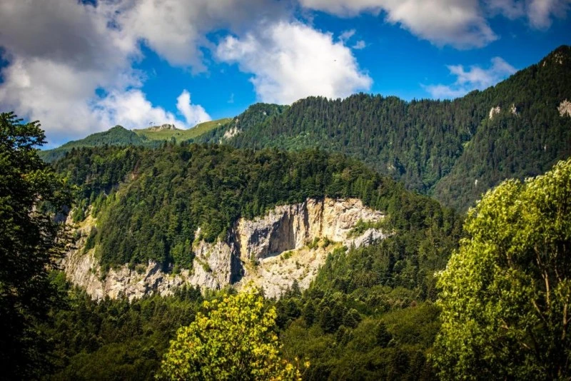 Bușteni Cazare | Hotel-apartament (K1582-21) Imaginea poate fi supusă drepturilor de autor. Se recomandă contactarea titularului drepturilor.