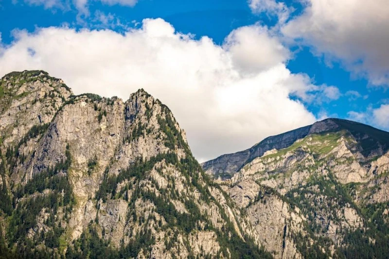 Bușteni Szállás | Fogadó (K1582-122) A kép szerzői jogvédelem alatt állhat. Javasolt a kapcsolatfelvétel a jog tulajdonossal.