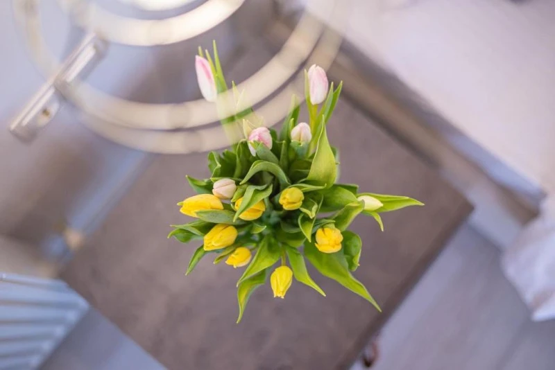 Bușteni Szállás | Fogadó (K1582-170) A kép szerzői jogvédelem alatt állhat. Javasolt a kapcsolatfelvétel a jog tulajdonossal.