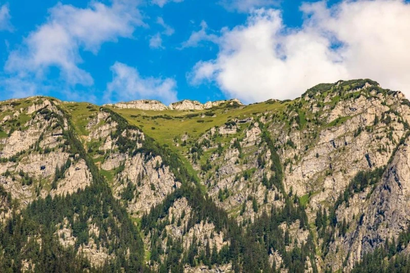 Bușteni Szállás | Hotel‑apartman (K1584-60) A kép szerzői jogvédelem alatt állhat. Javasolt a kapcsolatfelvétel a jog tulajdonossal.