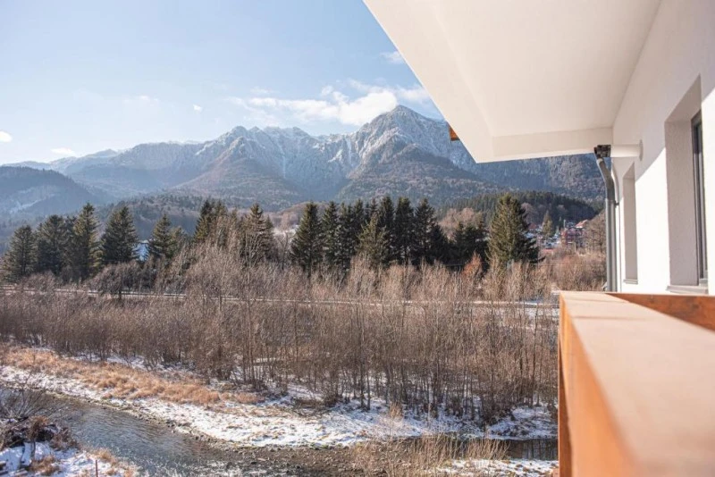 Bușteni Cazare | Hotel-apartament (K1585-56) Imaginea poate fi supusă drepturilor de autor. Se recomandă contactarea titularului drepturilor.