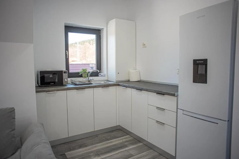 Bușteni Cazare | Hotel-apartament (K1585-66) Imaginea poate fi supusă drepturilor de autor. Se recomandă contactarea titularului drepturilor.