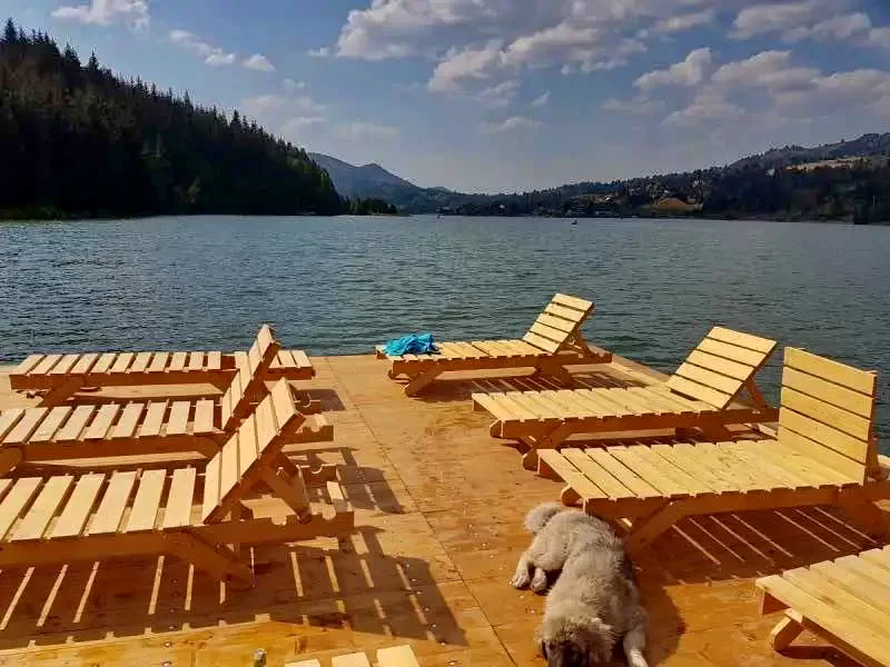 Kolibica Szállás | Motel (K0973-24) A kép szerzői jogvédelem alatt állhat. Javasolt a kapcsolatfelvétel a jog tulajdonossal.