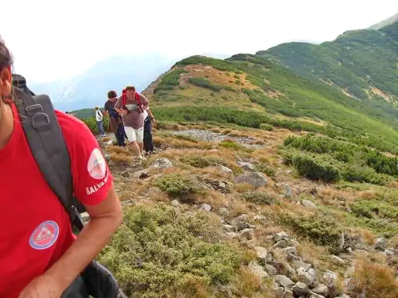 Kolibica Szállás | Motel (K0973-46) A kép szerzői jogvédelem alatt állhat. Javasolt a kapcsolatfelvétel a jog tulajdonossal.