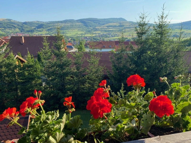 Szállás Corund - Cabana Szőlőmáli** | Korond - Szőlőmáli Kulcsosház**. A kép szerzői jogvédelem alatt állhat. Javasolt a kapcsolatfelvétel a jog tulajdonossal.