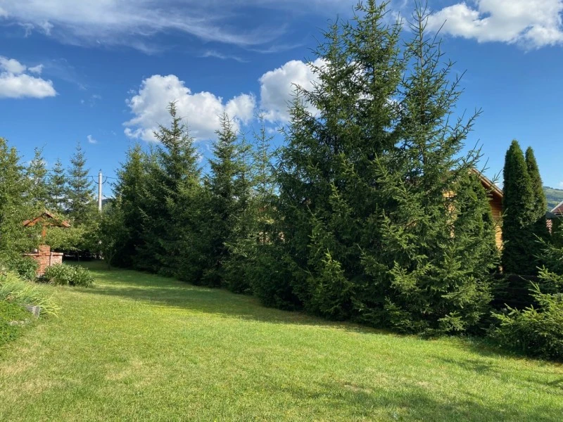 Korond Szállás | Üdülőfalu (K0351-36) A kép szerzői jogvédelem alatt állhat. Javasolt a kapcsolatfelvétel a jog tulajdonossal.