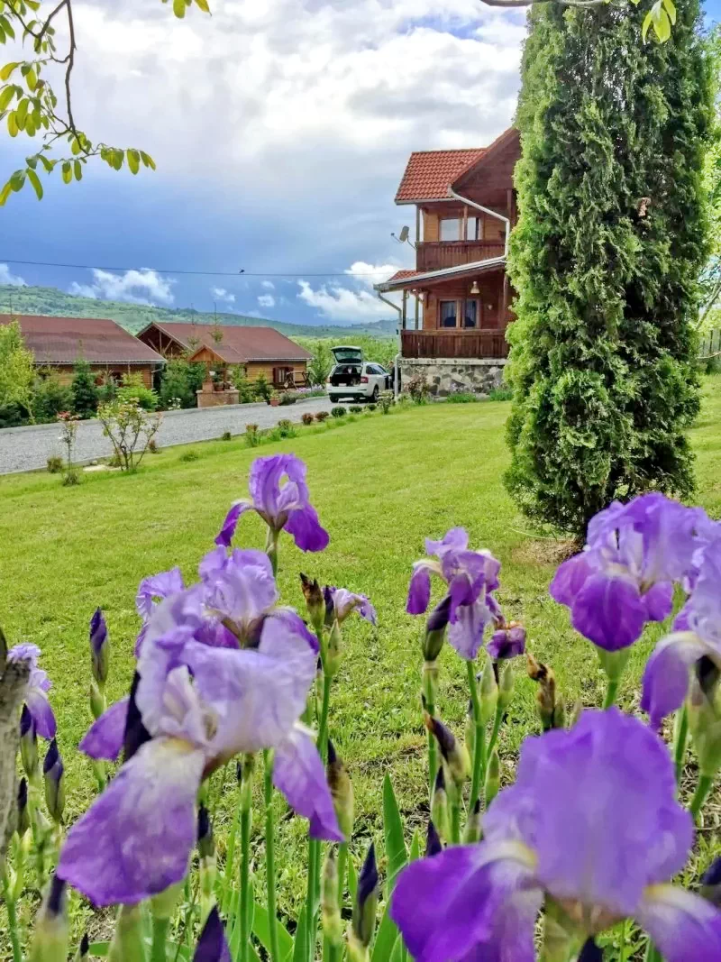 Corund Cazare | Sat de vacanță (K0351-40) Imaginea poate fi supusă drepturilor de autor. Se recomandă contactarea titularului drepturilor.