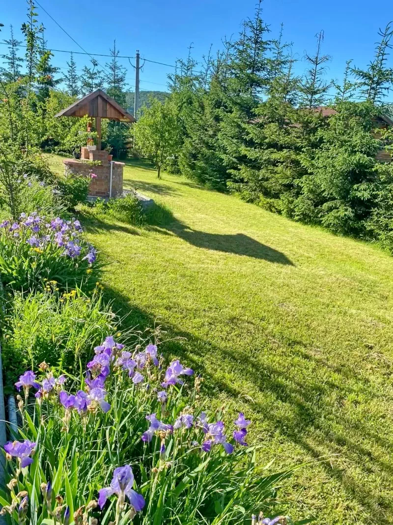 Corund Cazare | Sat de vacanță (K0351-45) Imaginea poate fi supusă drepturilor de autor. Se recomandă contactarea titularului drepturilor.