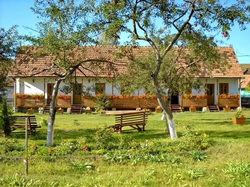 Csíkrákos Szállás | Kemping faházak (K0083-1) A kép szerzői jogvédelem alatt állhat. Javasolt a kapcsolatfelvétel a jog tulajdonossal.